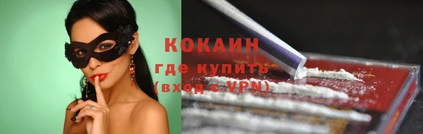 гашик Белокуриха