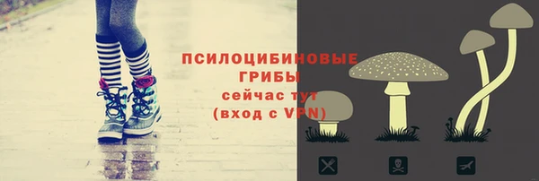 гашик Белокуриха