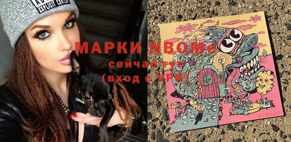 МДПВ Бронницы