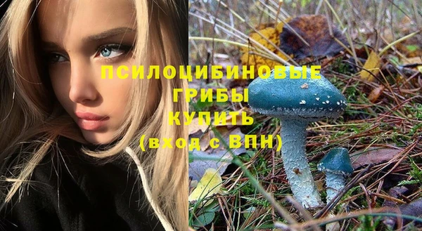 прущие крисы Белоозёрский