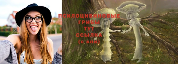 МДПВ Бронницы