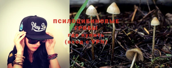 МДМА Беломорск